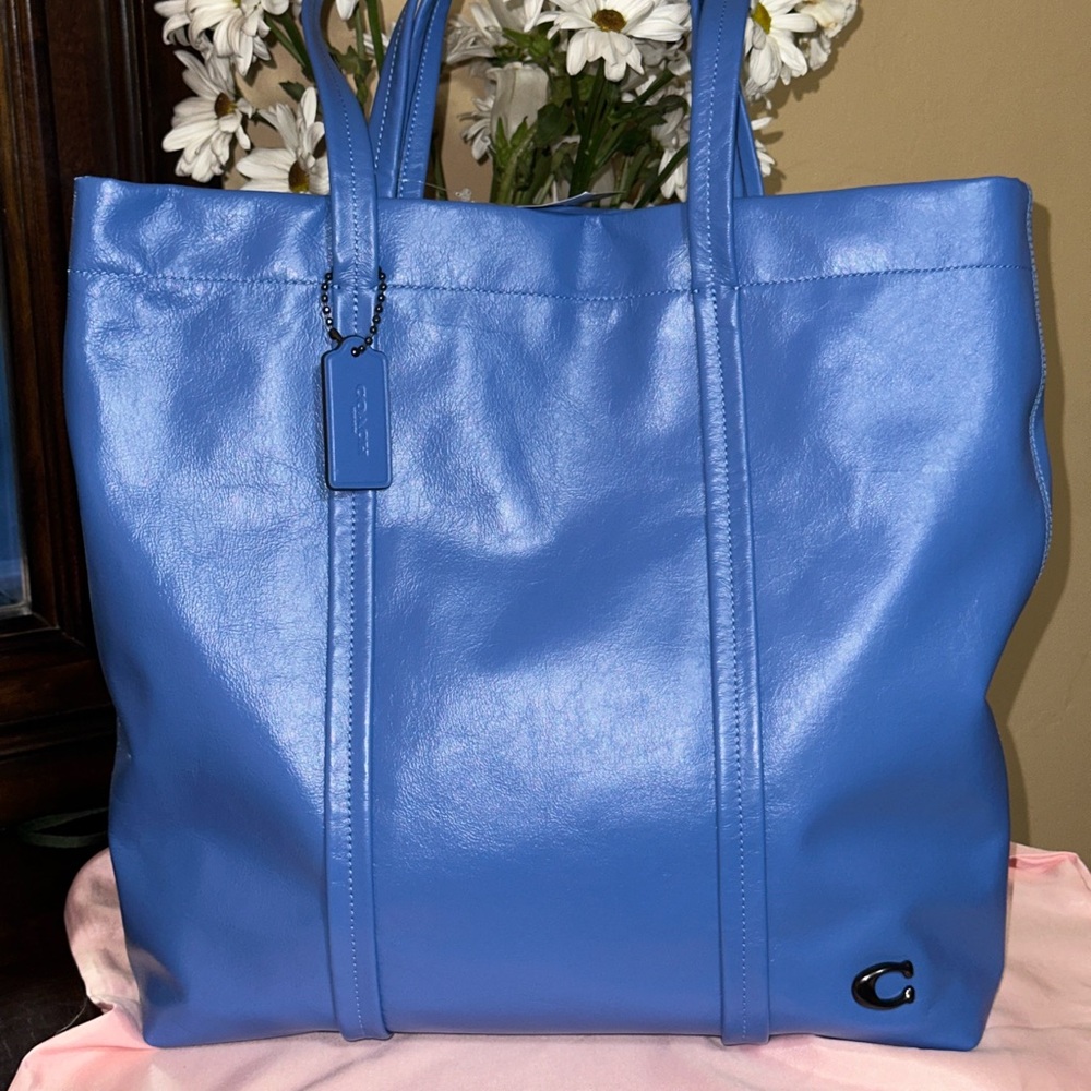 Coach Hall Tote 20